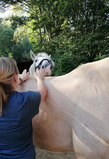 Eine Person steht neben einem weißen Pferd und streichelt dessen Körper.